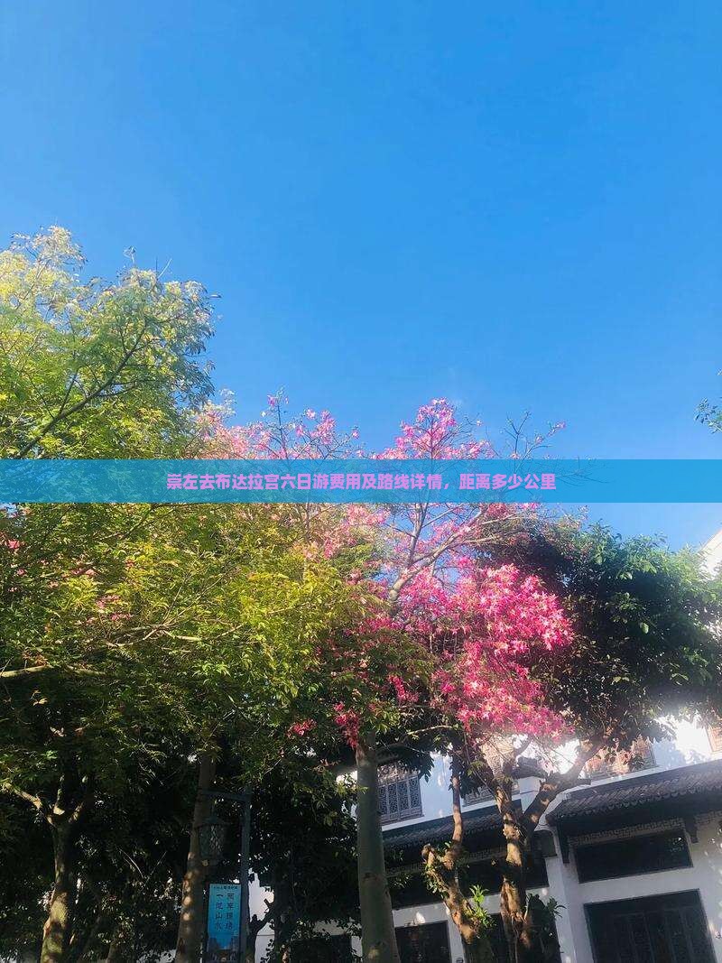 崇左去布达拉宫六日游费用及路线详情，距离多少公里