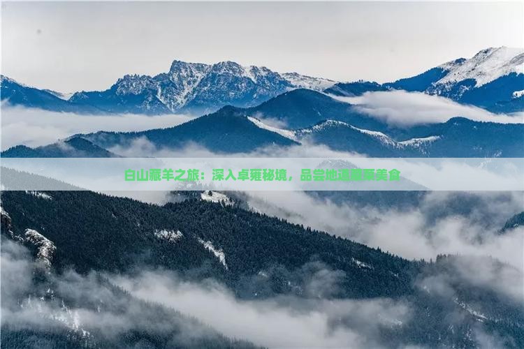白山藏羊之旅：深入卓雍秘境，品尝地道藏菜美食