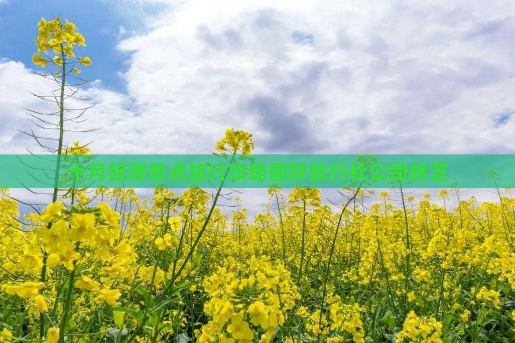 十月旅游景点旅行攻略国际旅行社公司林芝