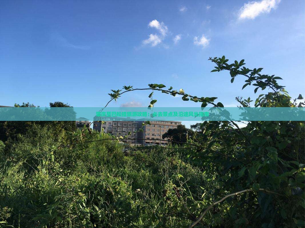 肇庆至巴松措旅游攻略：必去景点及沿途风光指南