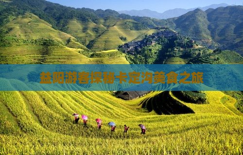 益阳游客探秘卡定沟美食之旅