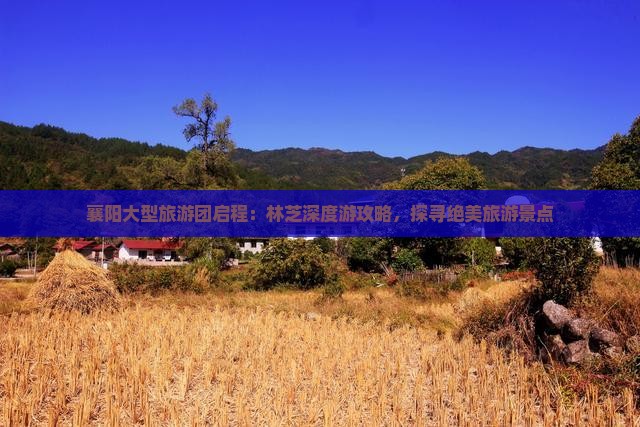 襄阳大型旅游团启程：林芝深度游攻略，探寻绝美旅游景点