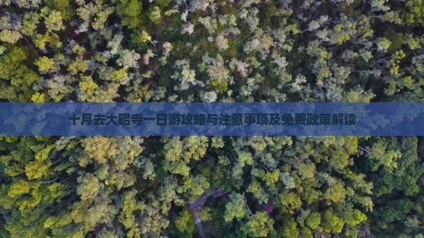 十月去大昭寺一日游攻略与注意事项及免费政策解读