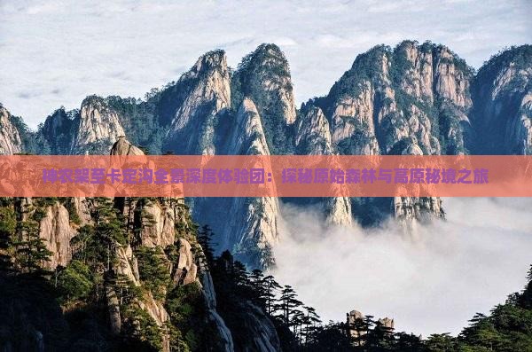 神农架至卡定沟全景深度体验团：探秘原始森林与高原秘境之旅