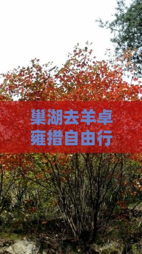 巢湖去羊卓雍措自由行详细路线攻略