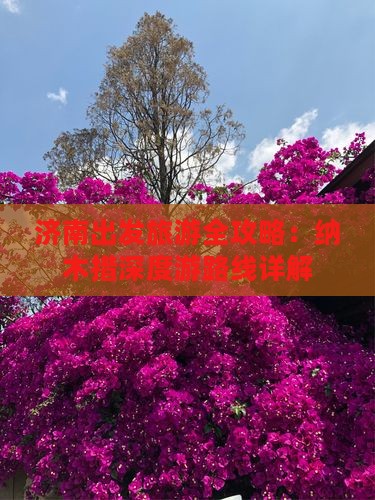 济南出发旅游全攻略：纳木措深度游路线详解