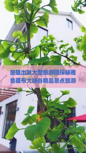 楚雄出发大型旅游团探秘雅鲁藏布大峡谷精品景点旅游线路推荐