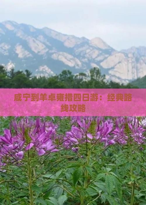 咸宁到羊卓雍措四日游：经典路线攻略
