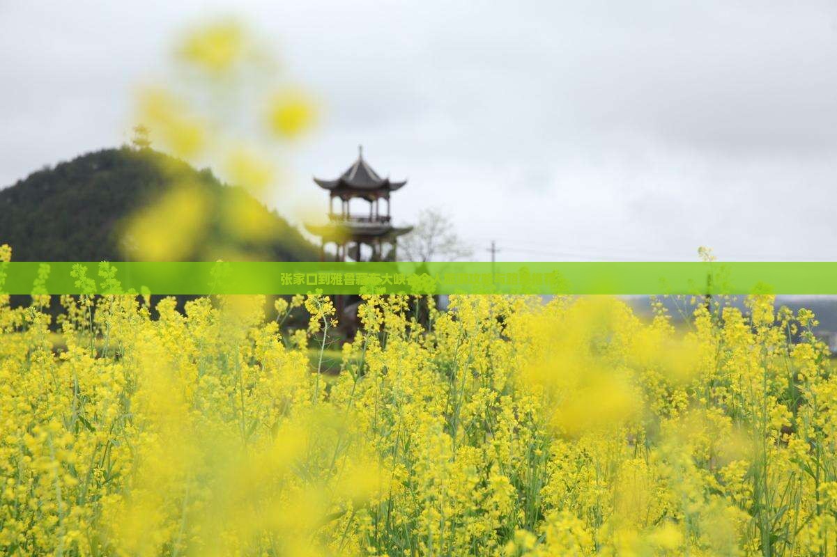 张家口到雅鲁藏布大峡谷个人旅游攻略与路线推荐