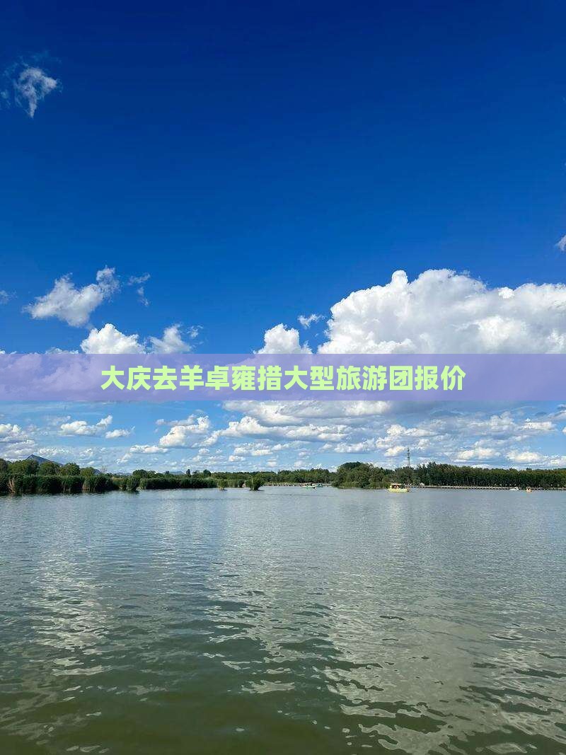 大庆去羊卓雍措大型旅游团报价