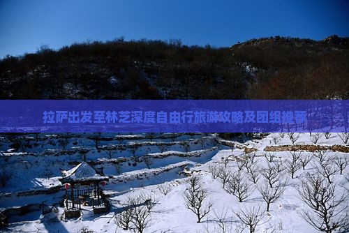 拉萨出发至林芝深度自由行旅游攻略及团组推荐
