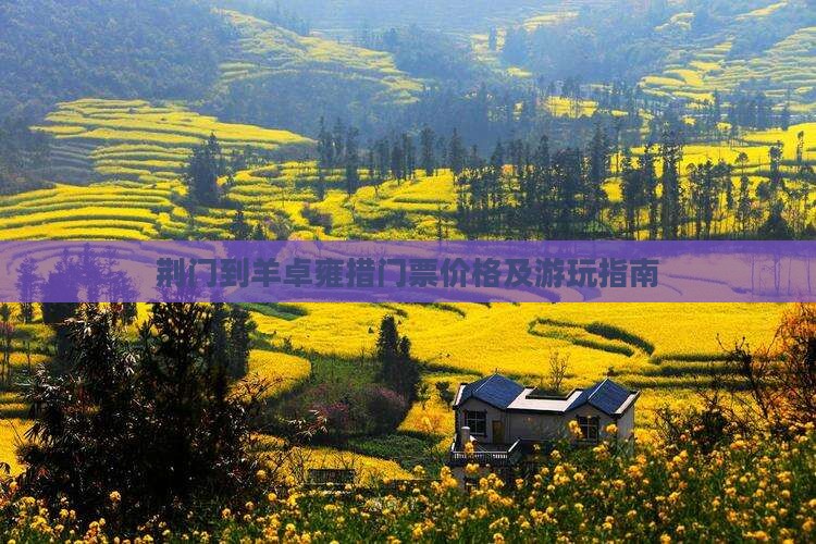 荆门到羊卓雍措门票价格及游玩指南