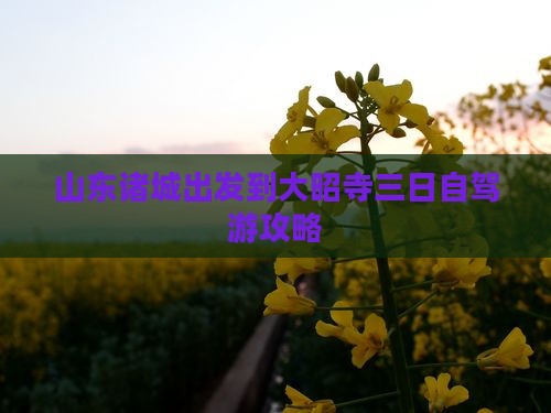 山东诸城出发到大昭寺三日自驾游攻略