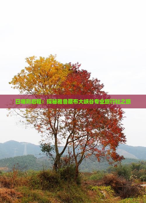 日喀则启程：探秘雅鲁藏布大峡谷专业旅行社之旅