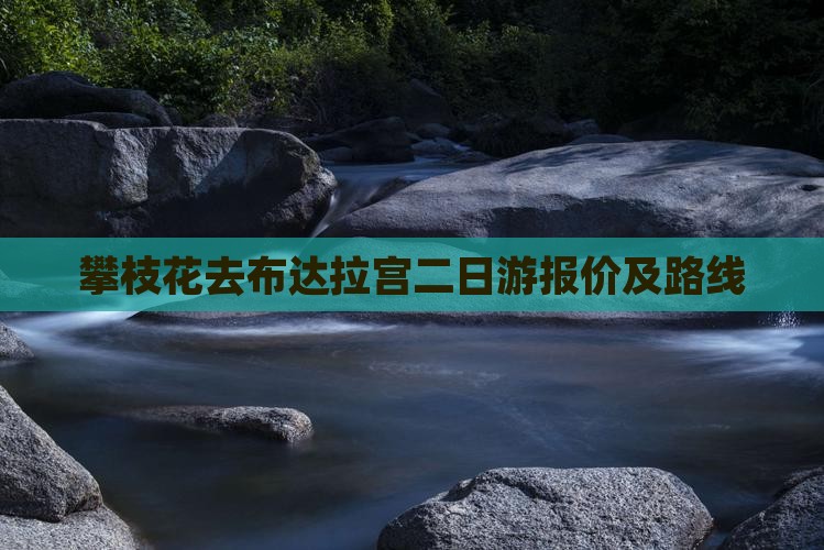 攀枝花去布达拉宫二日游报价及路线