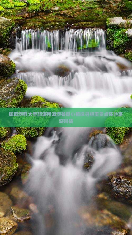 聊城游客大型旅游团畅游鲁朗小镇探寻绝美景点体验旅游风情