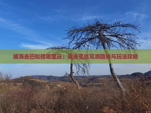 威海去巴松措哪里玩：威海至自驾游路线与玩法攻略