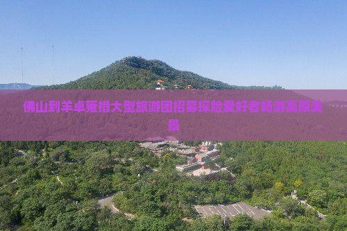 佛山到羊卓雍措大型旅游团招募探险爱好者畅游高原美景