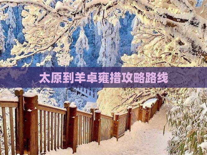 太原到羊卓雍措攻略路线