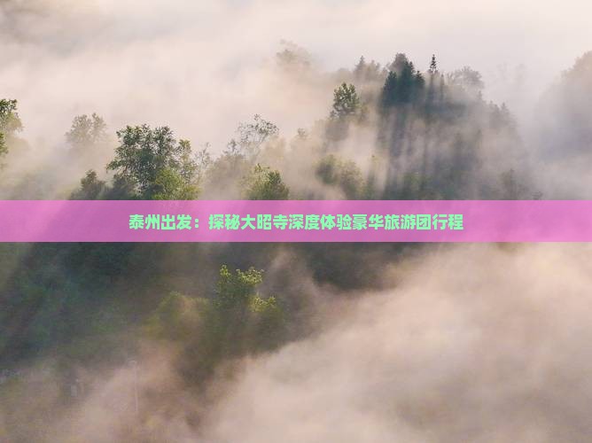 泰州出发：探秘大昭寺深度体验豪华旅游团行程