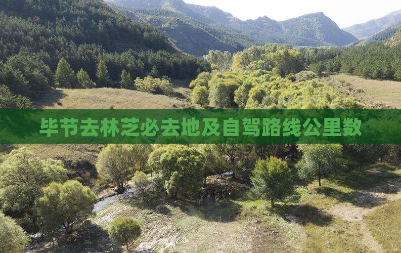 毕节去林芝必去地及自驾路线公里数