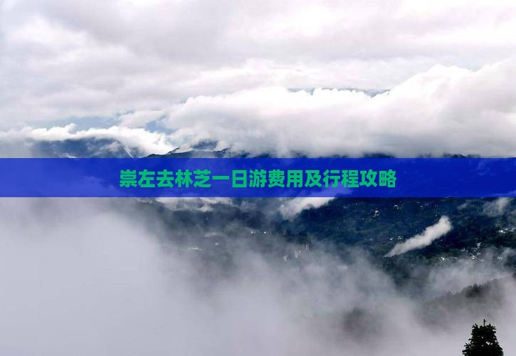 崇左去林芝一日游费用及行程攻略