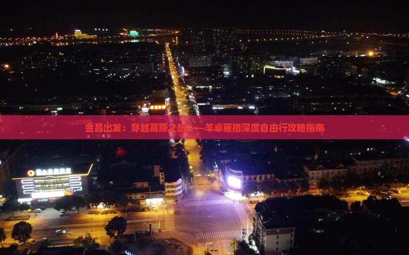 金昌出发：穿越高原之旅——羊卓雍措深度自由行攻略指南