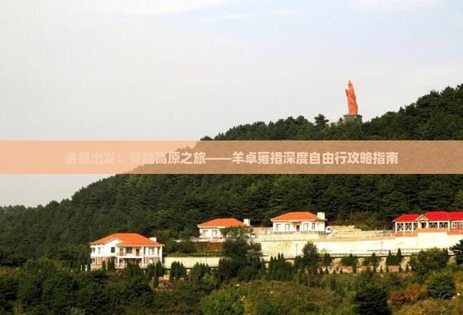 金昌出发：穿越高原之旅——羊卓雍措深度自由行攻略指南