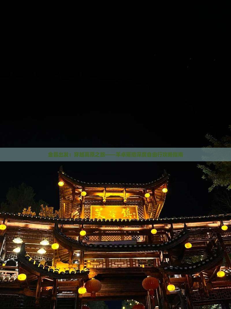 金昌出发：穿越高原之旅——羊卓雍措深度自由行攻略指南