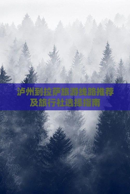泸州到拉萨旅游线路推荐及旅行社选择指南