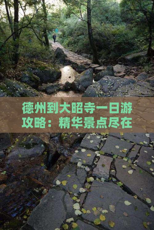 德州到大昭寺一日游攻略：精华景点尽在旅游