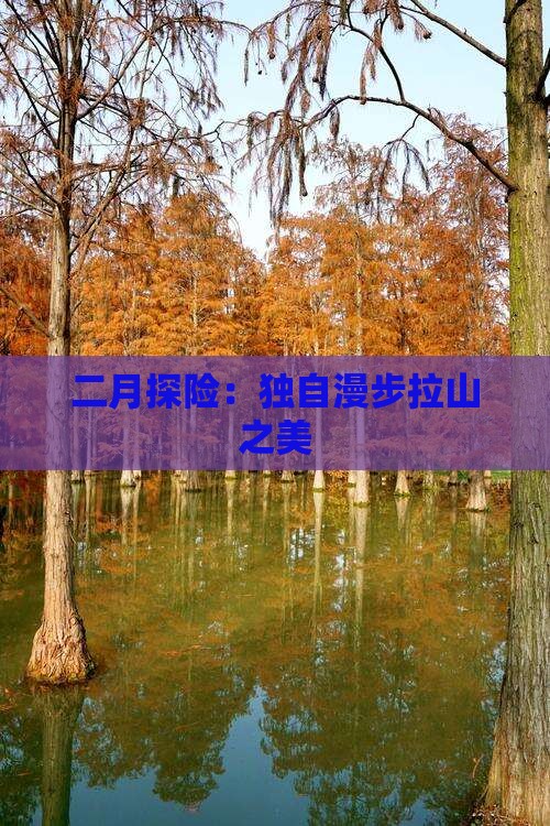 二月探险：独自漫步拉山之美