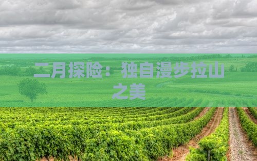 二月探险：独自漫步拉山之美