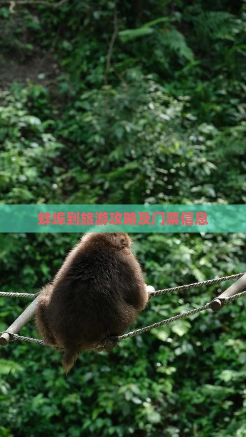 蚌埠到旅游攻略及门票信息