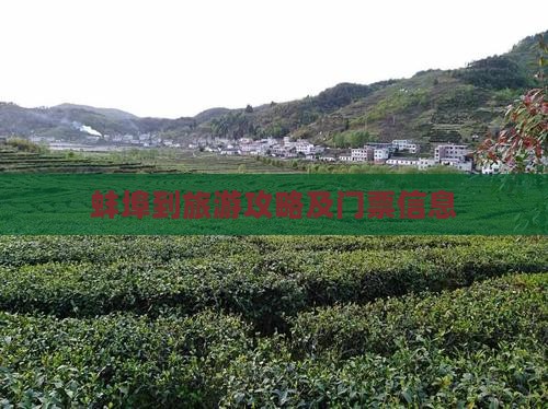 蚌埠到旅游攻略及门票信息