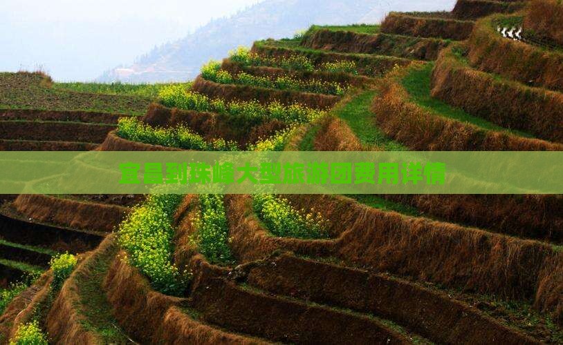 宜昌到珠峰大型旅游团费用详情