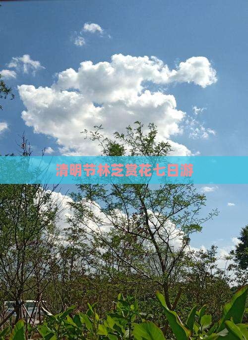 清明节林芝赏花七日游