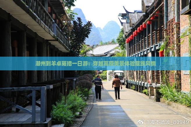 潮州到羊卓雍措一日游：穿越高原美景体验藏族风情