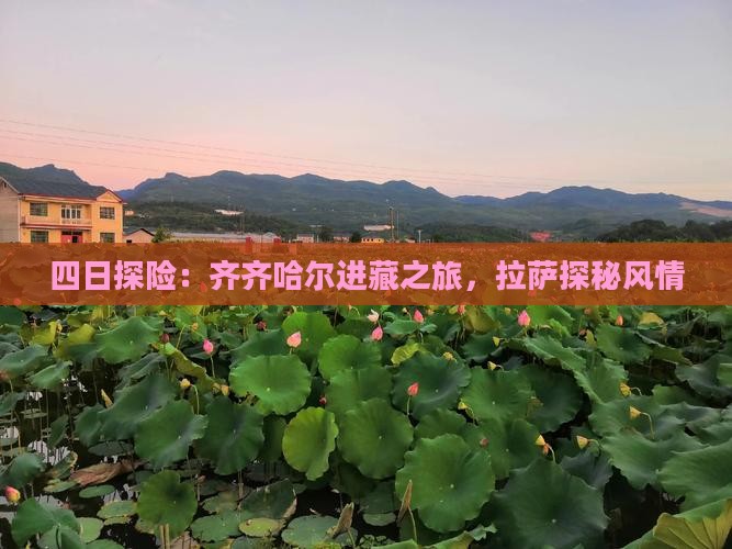 四日探险：齐齐哈尔进藏之旅，拉萨探秘风情