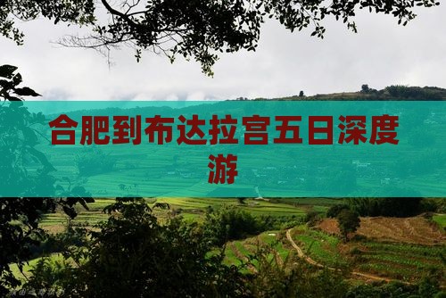 合肥到布达拉宫五日深度游