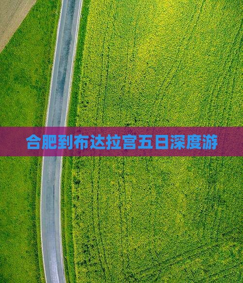 合肥到布达拉宫五日深度游