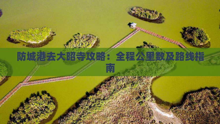 防城港去大昭寺攻略：全程公里数及路线指南