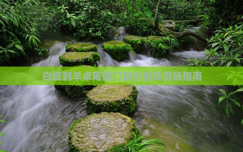 白城到羊卓雍措门票价格及游玩指南