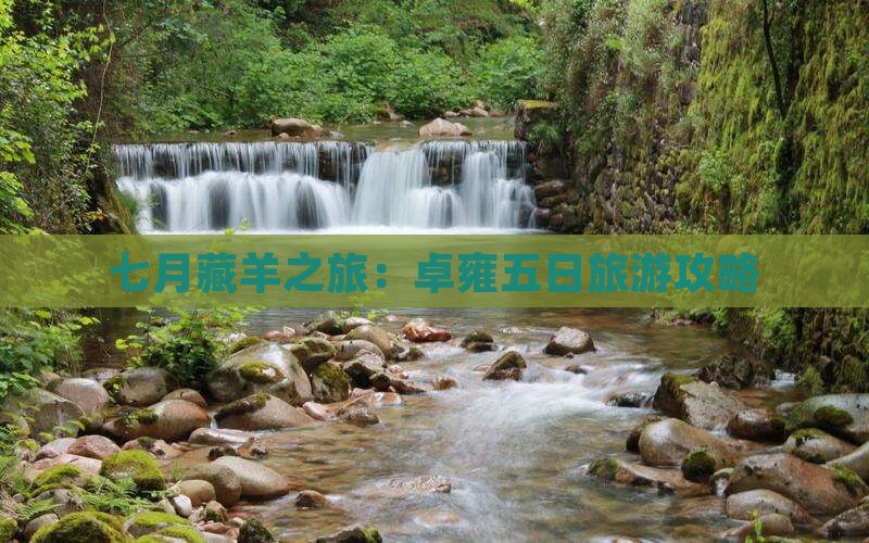 七月藏羊之旅：卓雍五日旅游攻略