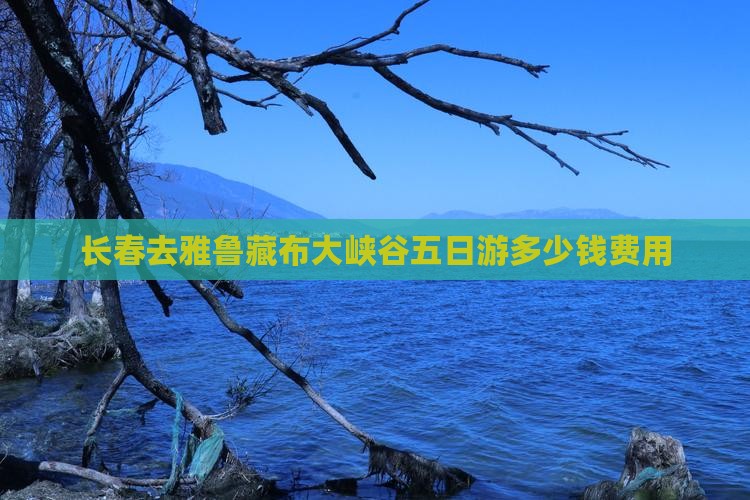 长春去雅鲁藏布大峡谷五日游多少钱费用
