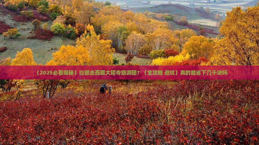 白银去西藏大昭寺大型旅游团
