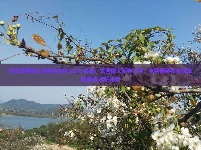 庆阳去西藏大昭寺自由行