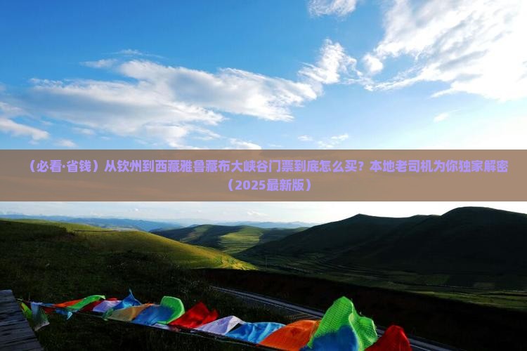 钦州去西藏雅鲁藏布大峡谷门票