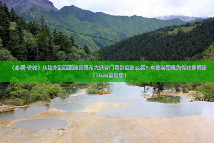 钦州去西藏雅鲁藏布大峡谷门票