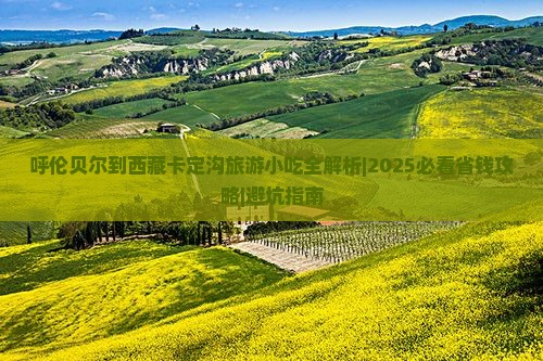 呼伦贝尔到西藏卡定沟旅游小吃